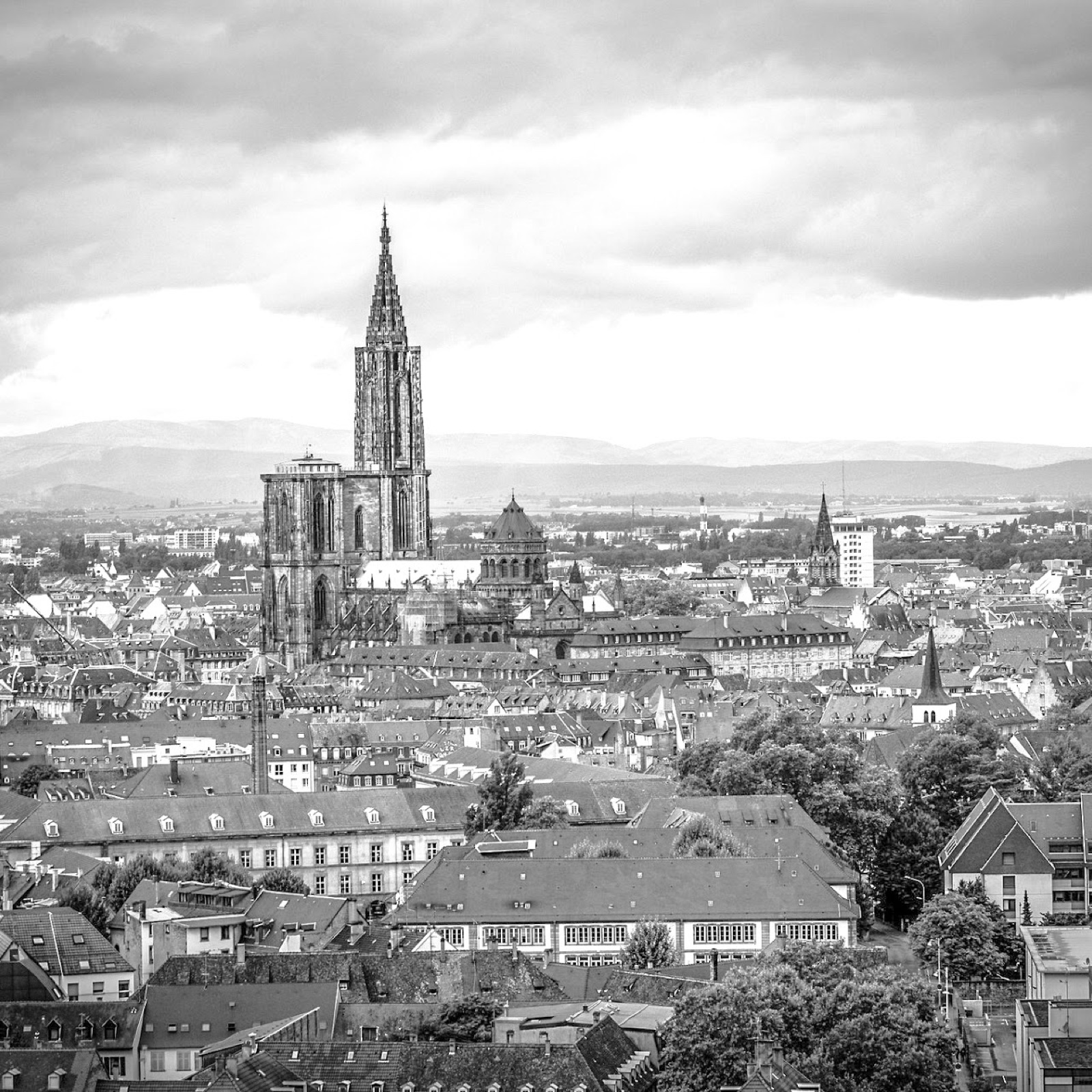 Strasbourg, ancrage de l'atelier moreno